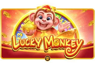 333btd